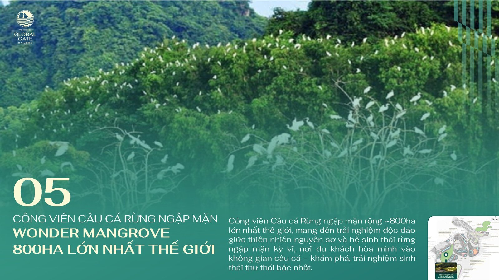 Công viên câu cá rừng ngập mặn Wonder Mangrove 800ha